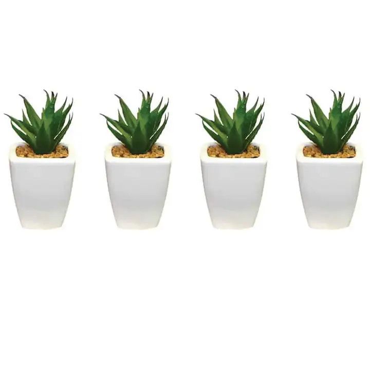 MINI SUCCULENTS IN WHITE SQUARE POT 5 INCH