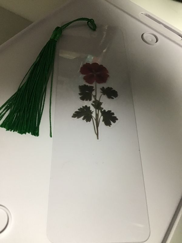 DRIED FLOWER BOOKMARK
