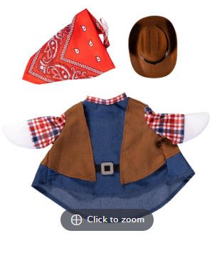 WILD WEST GOOSE OUTFIT