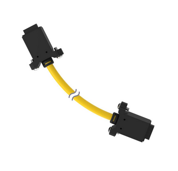DELS-113E, Banner, 86945 cordset ls-custom to ls-custom double ended, 12-pin straight female, 12-pin straight female c