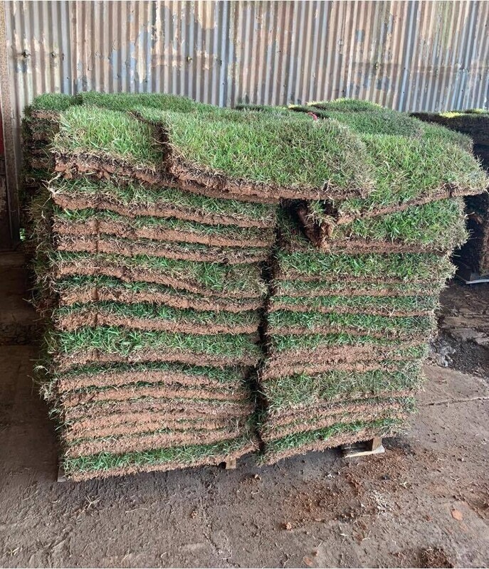 Crowne Zoysia Sod