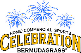 Celebration Bermuda Sod