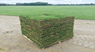 Square Cut Sod Pallets
