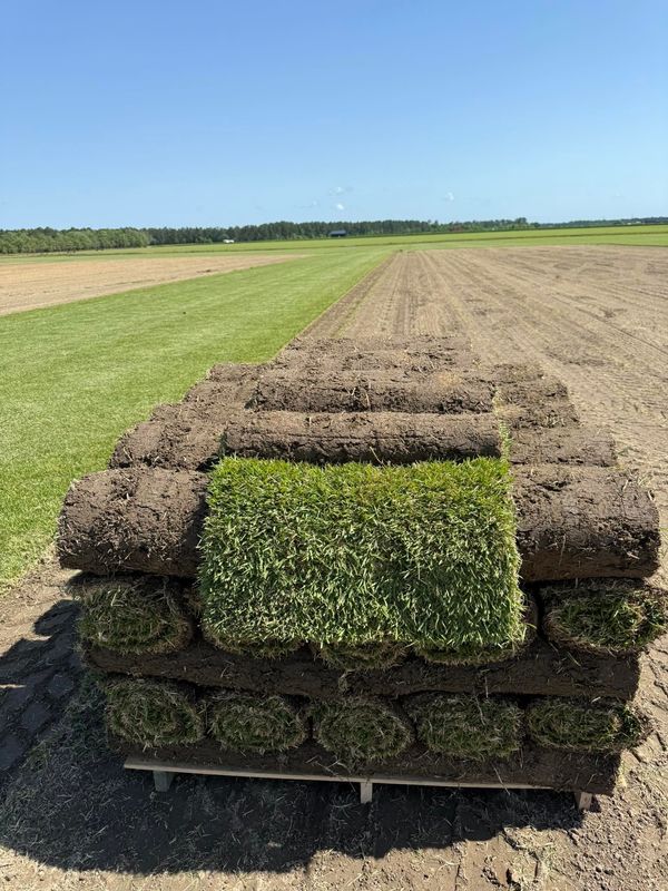 Palisades Zoysia Pallet