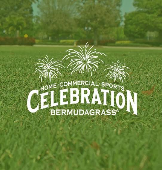 Celebration Bermuda Pallet