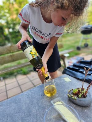 Donelli Lemon Mint & sparkling grape juice