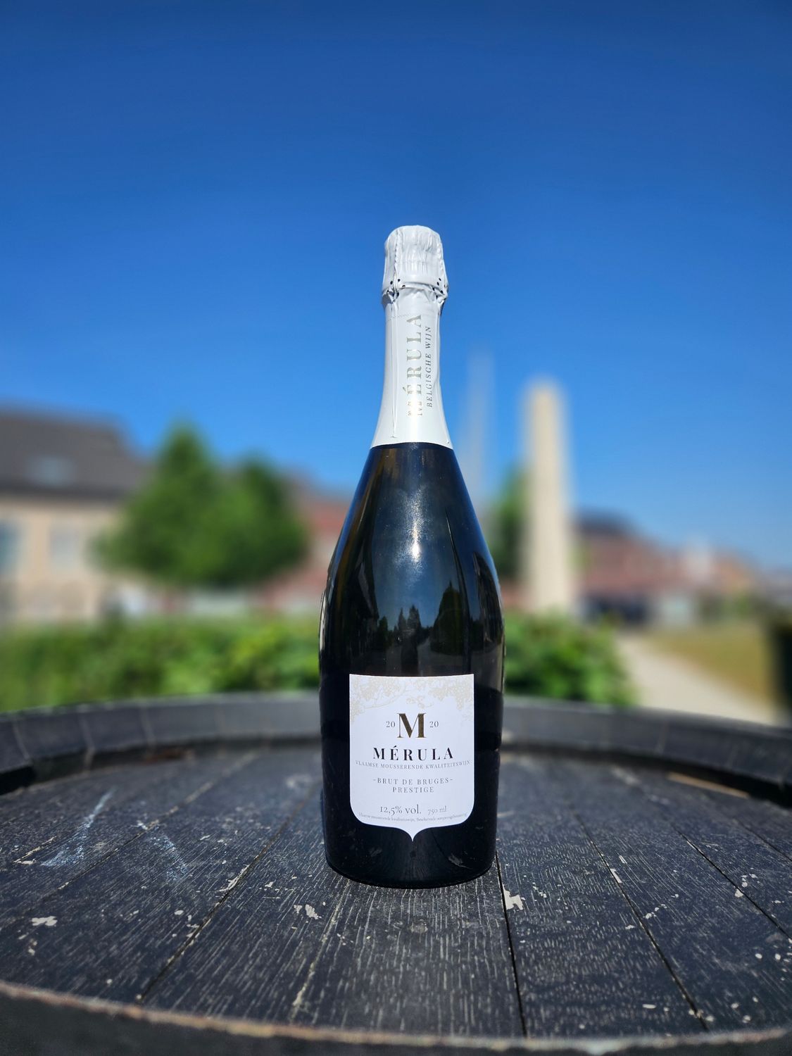 Mérula Brut de Bruges Prestige