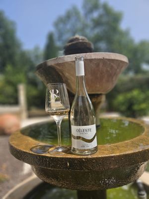 Céleste Rosé - Pre-Order
