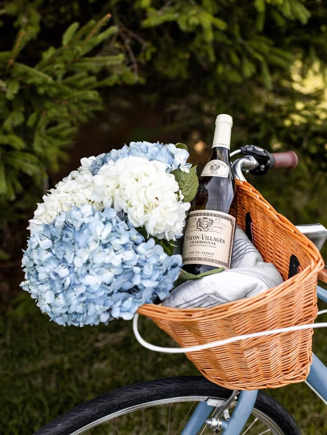Fietsen + wijn = de perfecte tussenstop! 🚴‍♀️🍷 €5 p.p.
