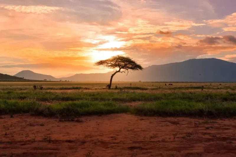 Zuid-Afrika
