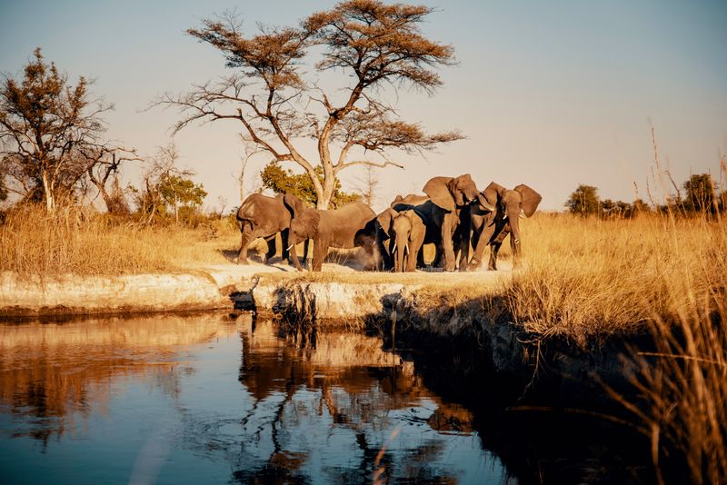 Zuid-Afrika