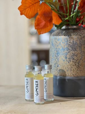 GIMBER shot - 20 ml