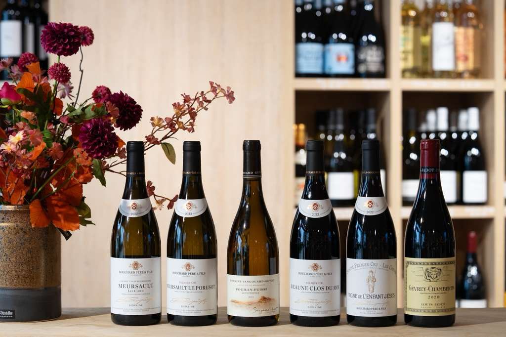 /Wijnen op Zaterdag - Bourgogne Tasting 8/11/25