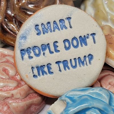 Smart People Don&#39;t Like Trump