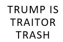 Trump is Traitor Trash