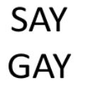 Say Gay / Gay is OK