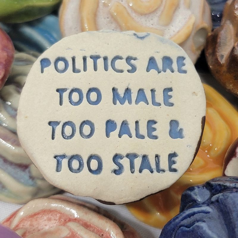 Politics are Too Male Too Pale and Too Stale