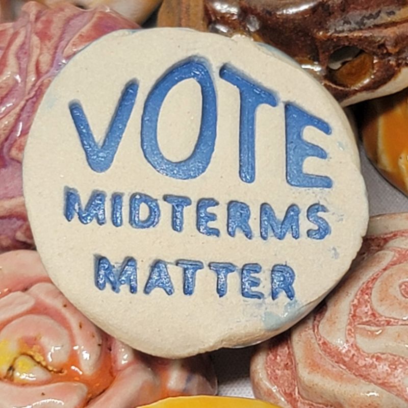 Vote Midterms Matter