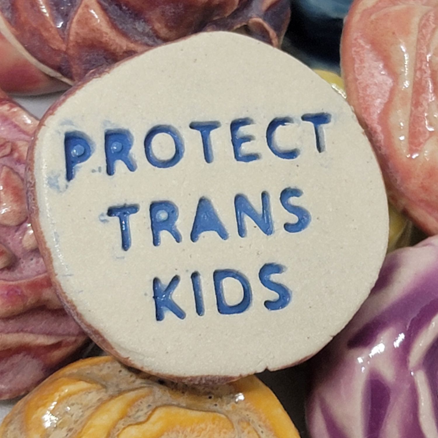 Protect Trans Kids
