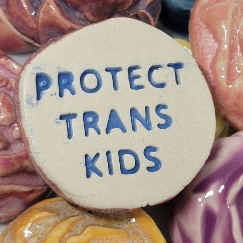 Protect Trans Kids