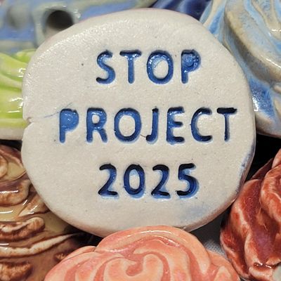 Stop Project 2025