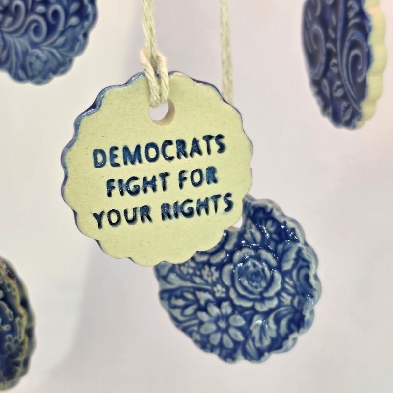 Democrats Fight for your Rights