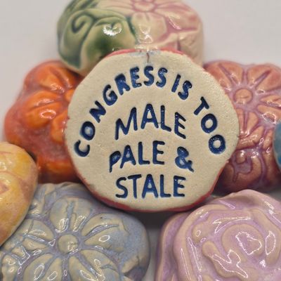 Congress is too Male Pale and Stale