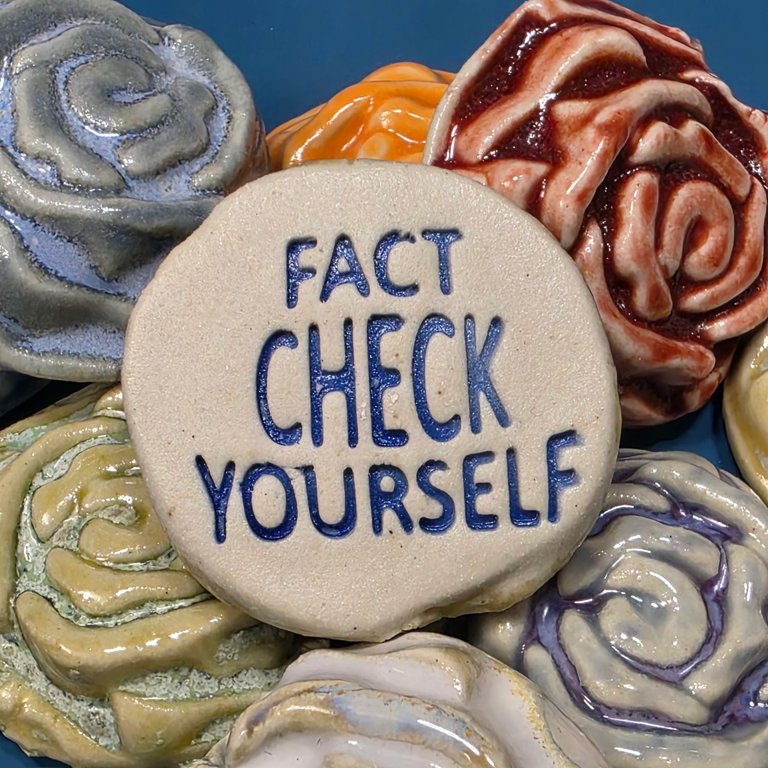 Fact Check Yourself