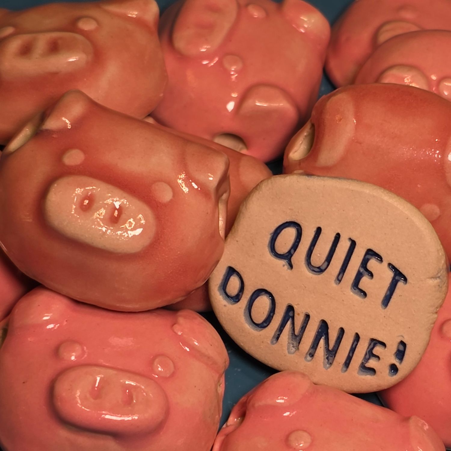 Quiet Donnie Piggy