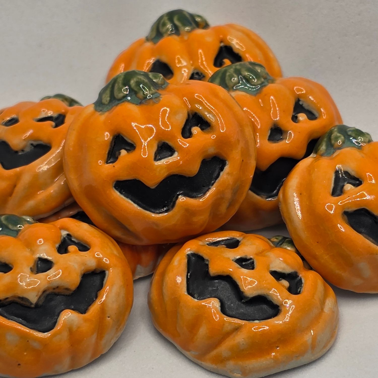 2026 Pumpkin Patch
