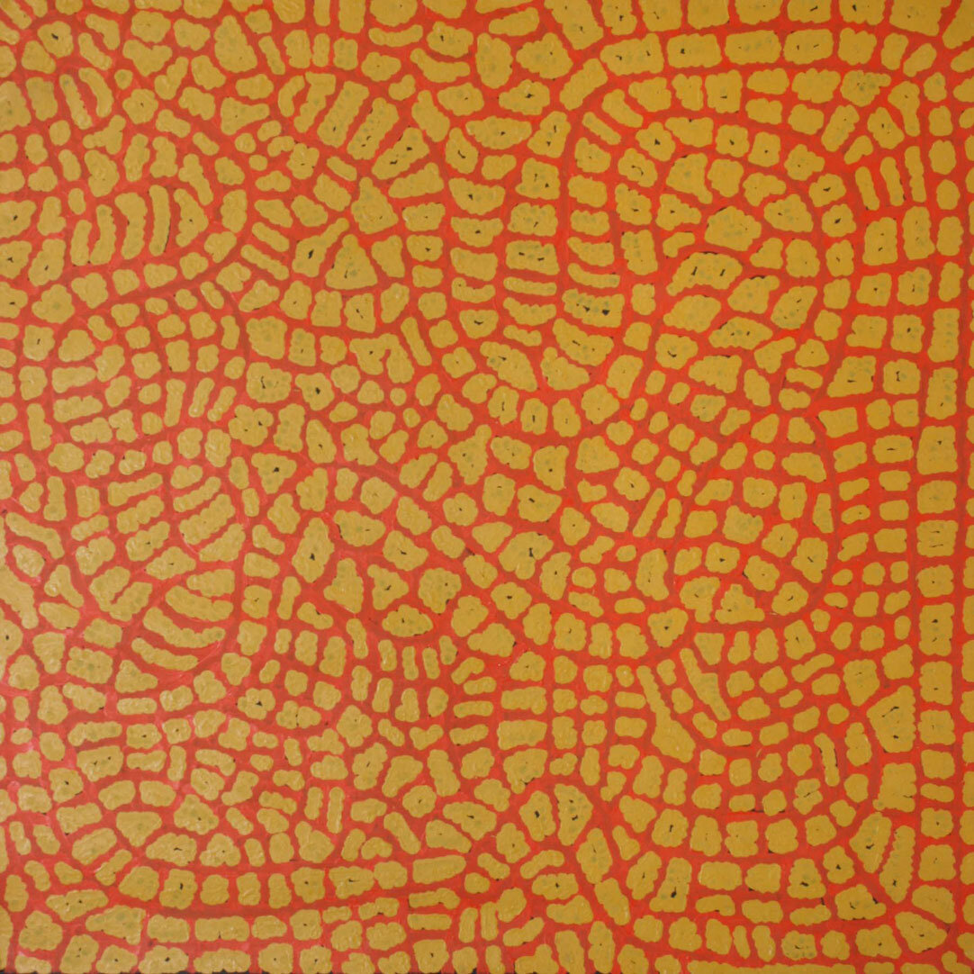 Kuniya Snake Dreaming (2000) By Barbara Napangarti Reid 92x92cm