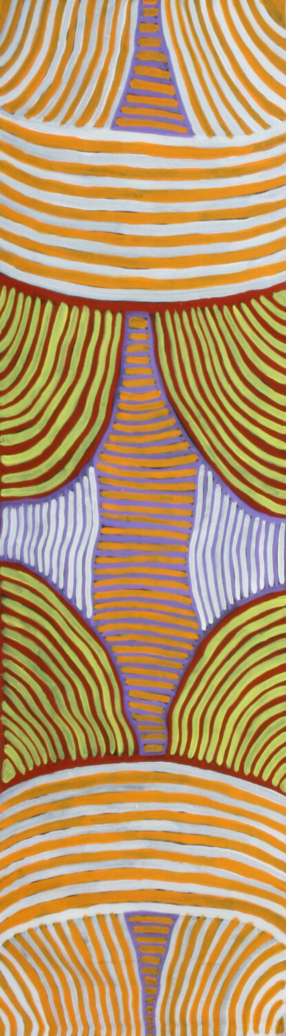 Body Paint Designs for Lizard Dreaming by Ada Bird Petyarre, 52x118cm