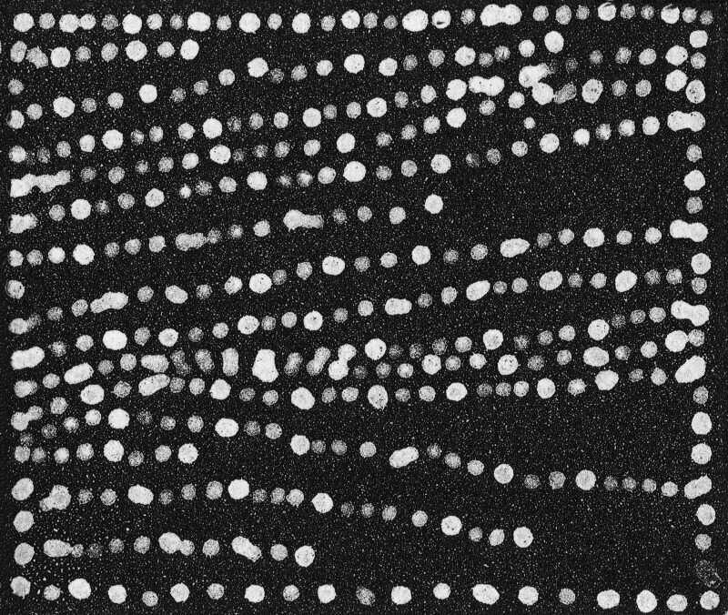 Salt Etching by Dorothy Napangardi - CPP collaboration DN-17