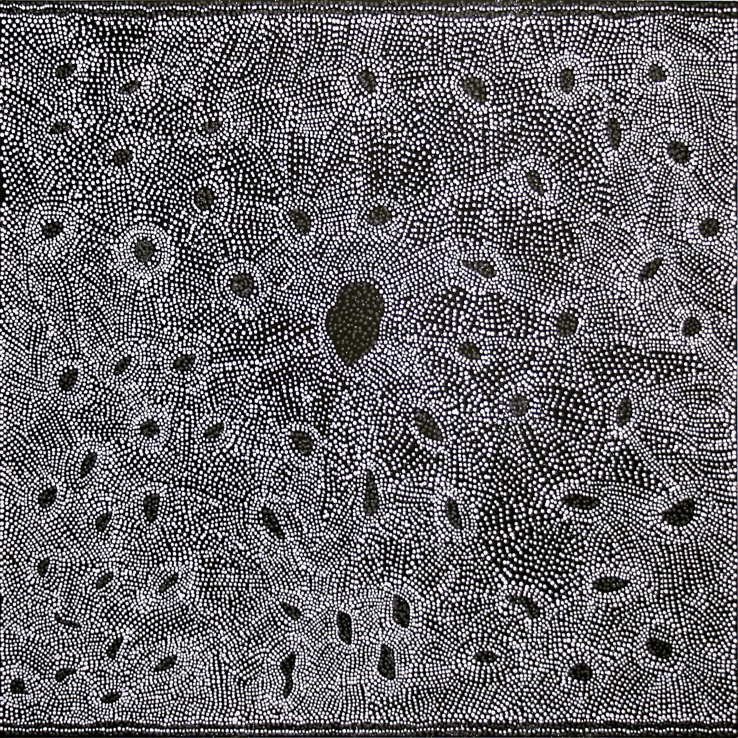 Pirlinyanu - Rockhole Dreaming, 2009 by Julie Nangala Robertson
122x122cm Cat 13379JR