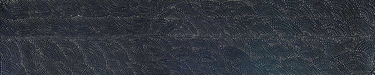 Bush Hen Dreaming (Awelye - Body Paint designs), 2000 by Rita Pwerl Loy 152x31cm 5123RL
