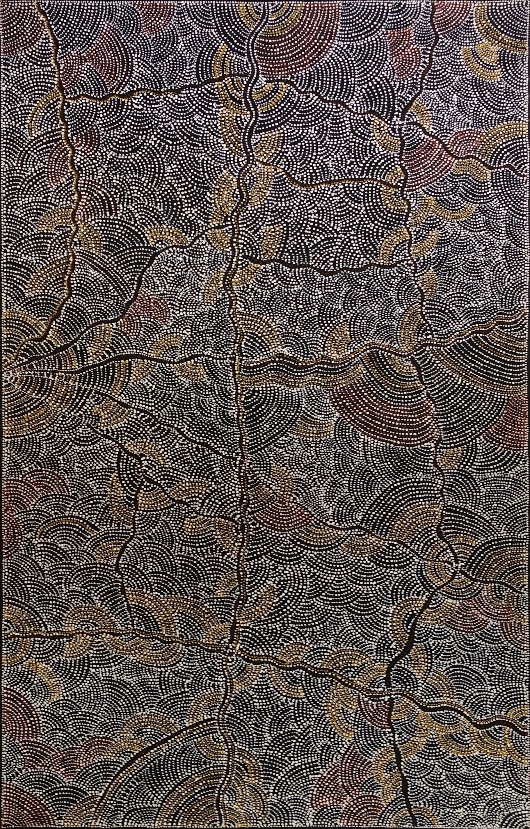 Sandhills of Mina Mina by Dorothy Napangardi 198x122cm 7756DN