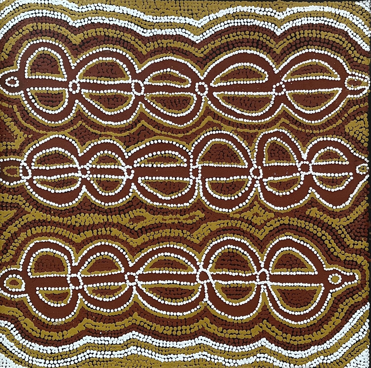 Janganpa Jukurrpa by Jorna Nelson Napurrurla, 61x61cm