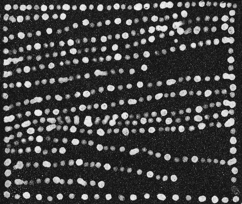 Salt Etching by Dorothy Napangardi - CPP collaboration DN-17