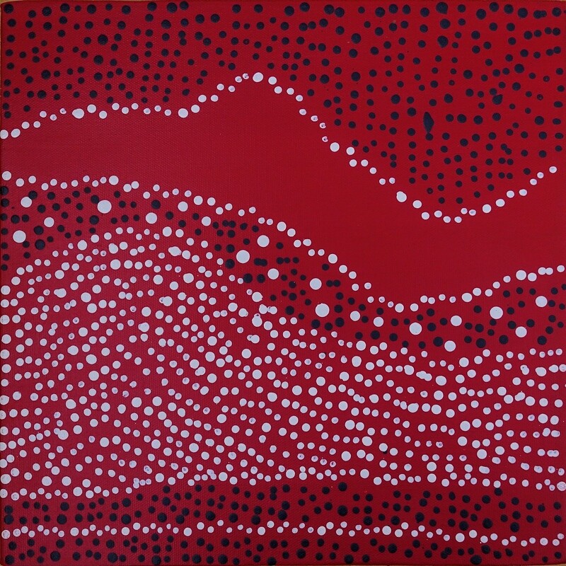 Water Dreaming by Julie Nangala Robertson 30x30cm 9079JR