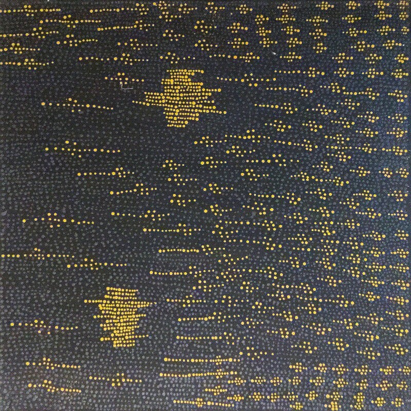 Pirlinyanu 2004  by Julie Nangala Robertson 91x91cm 8563JR