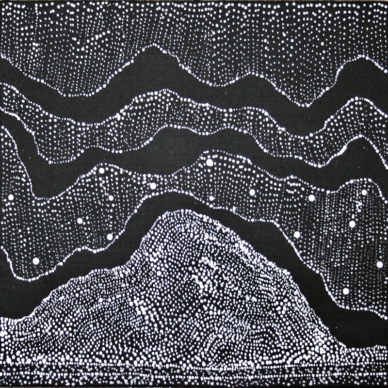 Water  Dreaming 2011 by Julie Nangala Robertson 46x46cm