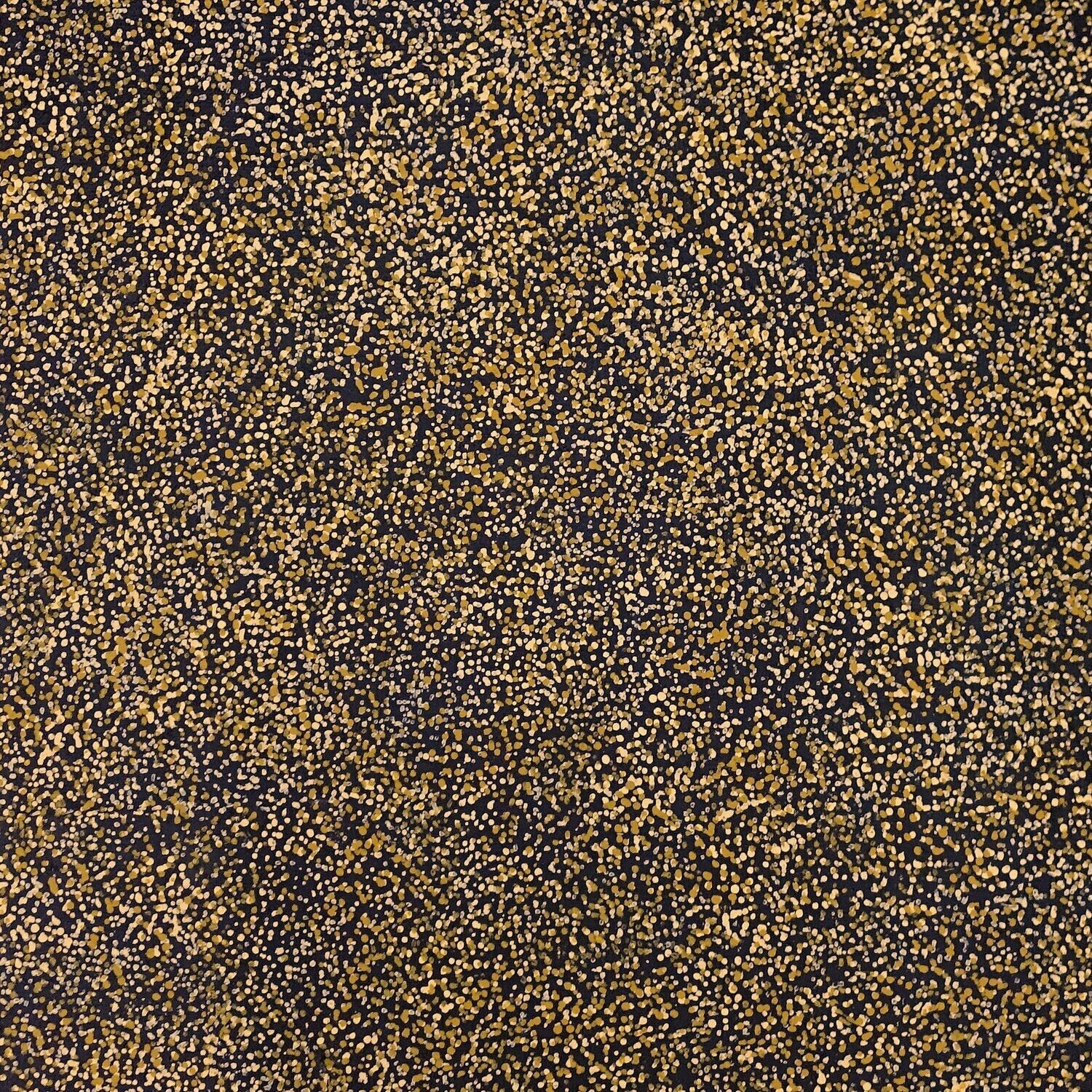 Amwekety (Bush Plum), 2001 by Gracie Pwerle Morton, 61x61cm Cat 5032bGM
