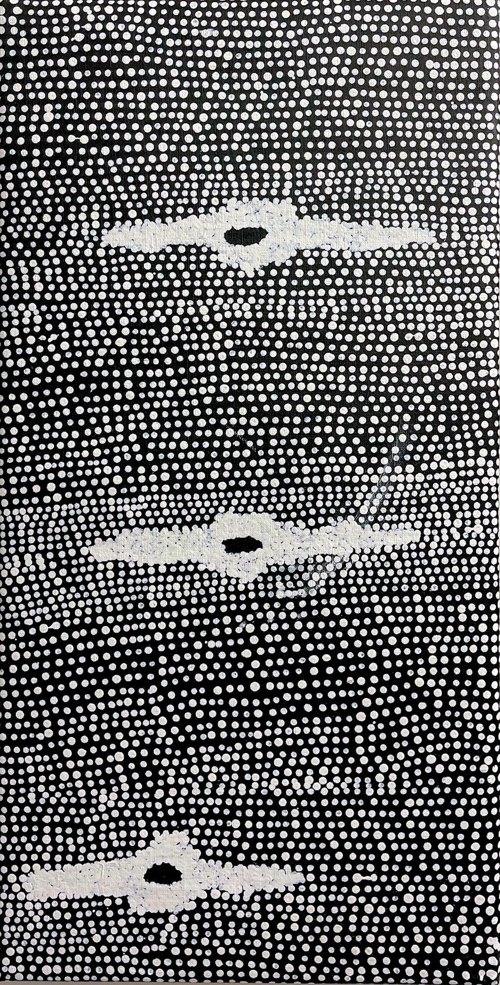 Ngapa Jukurrpa 2002 by Julie Nangala Robertson, 61x31cm 7769JR