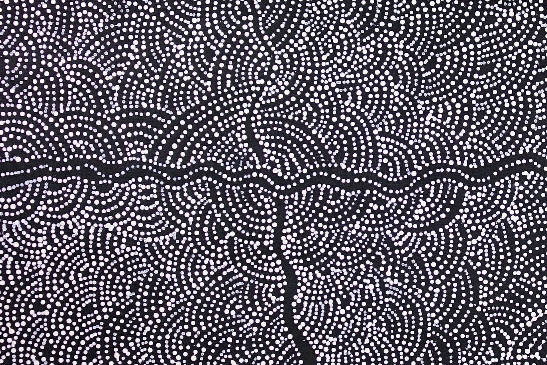 Sandhills of Mina Mina, 2003 by Dorothy Napangardi 91x152cm 7763DN