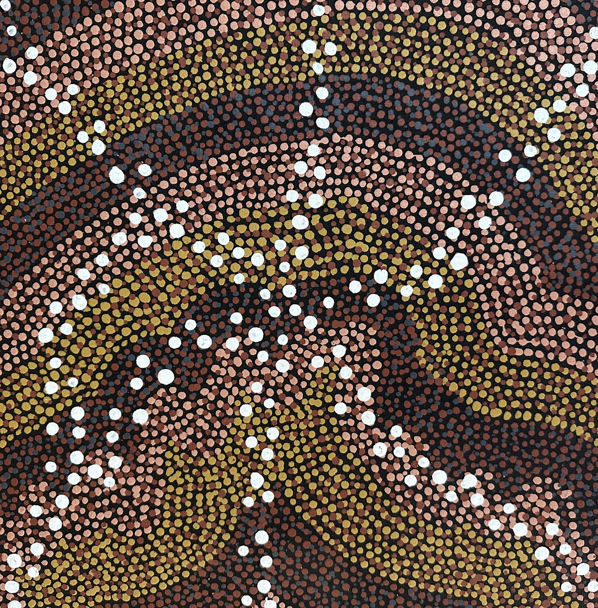 Warnakiji (Bush Tomato) 1999 – Polly Napangardi Watson - 45x45cm
