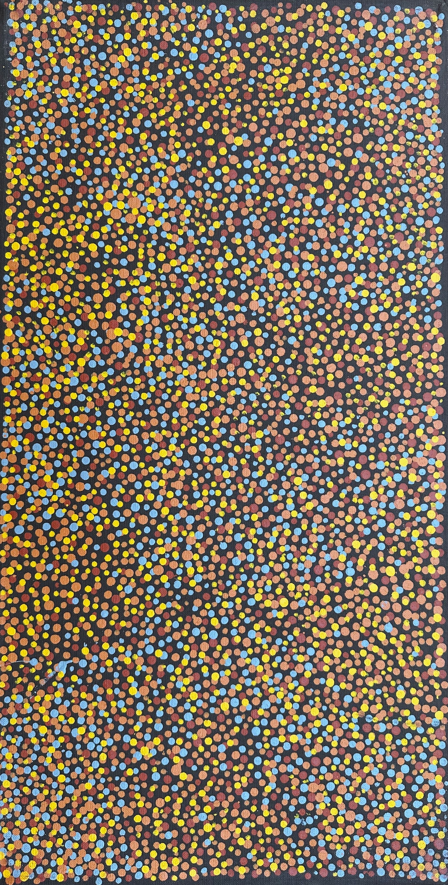 Wataki (Wild Desert Orange) Dreaming by Polly Napangardi Watson, 31x61cm
