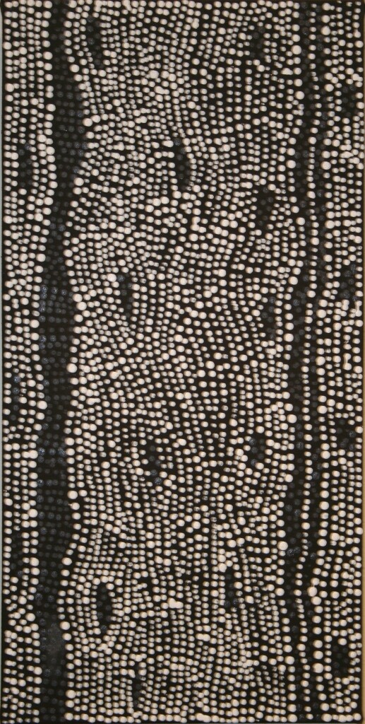 Pirlinyanu (2009) diptych by Julie Nangala Robertson
Cat 13907JR and 13908JR 31x61cm each panel