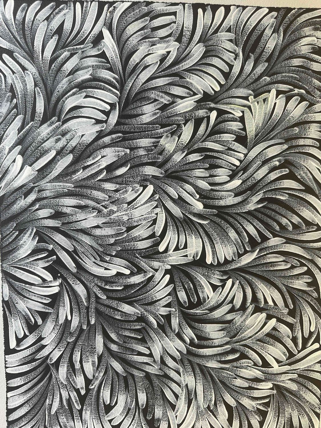 Jacinda Hayes: Capturing Bush Medicine Leaves in Art, 30x41cm FJ473