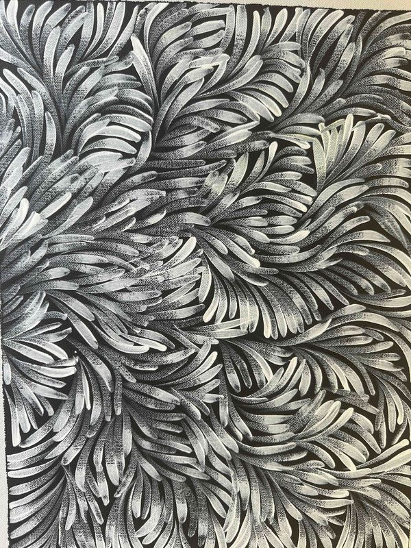 Jacinda Hayes: Capturing Bush Medicine Leaves in Art, 30x41cm FJ473