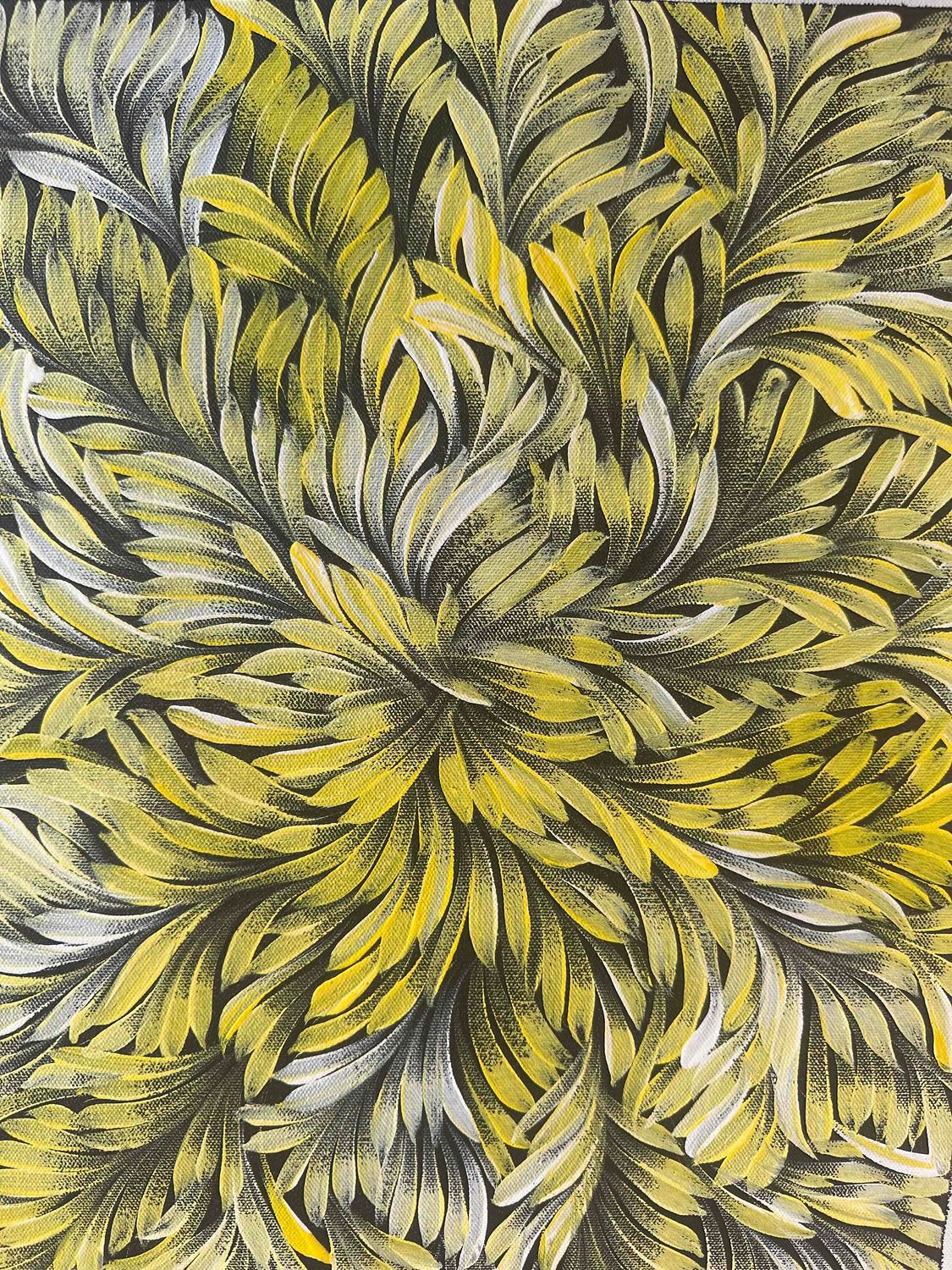 Jacinda Hayes: Capturing Bush Medicine Leaves in Art  30x41cm FJ462